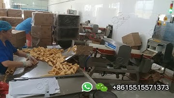 Fully Automatic Sugar Ice Cream Cone Production Line Video