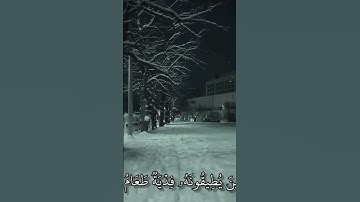 قرآن كريم بصوت جميل #رمضان #رمضان_كريم