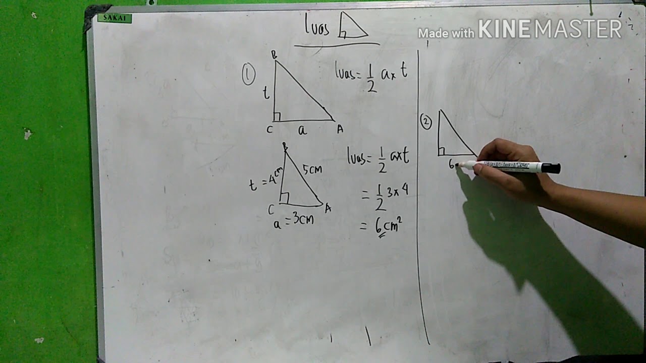 LUAS SEGITIGA SIKU SIKU #MATEMATIKA SD SMP