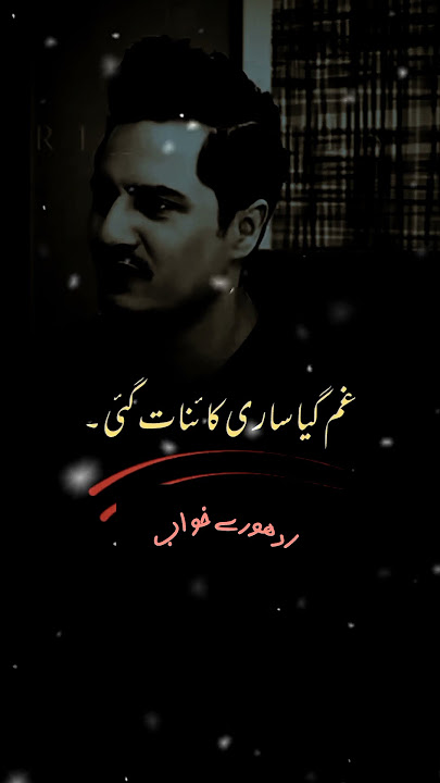 Dil Gaya Ronak e Hayaat Gai #4k #poetry #yt #sad #shortsfeed #trending #viralreel #popular #heart