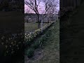 3 травня 2026 р.