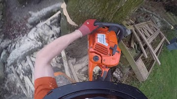 Beech Tree Removal, Tight Drop-zone