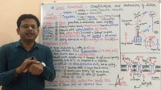 Local Anaesthetic (Part 02)- Mechanism of Action  (HINDI) By Solution Pharmacy