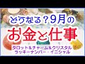 💰9月の金運･仕事運🔮3択タロット＆チャーム＆オラクルカードリーディング