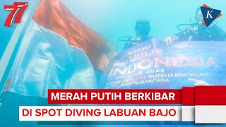 Video Viral, Paus Biru Sebesar Kapal Terekam di Perairan TN Komodo ...