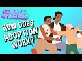 Understanding Adoption