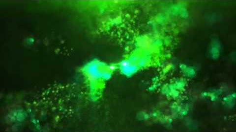 Particles Transform Logo-After Effects Template