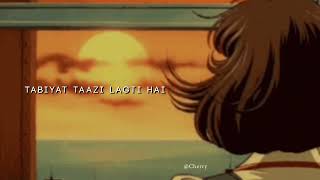 Ye Tune Kya Kiya || Javed Bashir (Slowed & Reverb) Lyrics