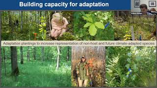 Building Adaptive Capacity: 2021 Northeast Regional Climate Adaptation Science Symposium