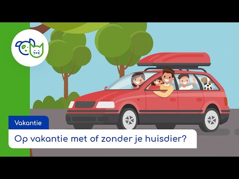 Video: Waar Laat Je Je Huisdier Op Vakantie?