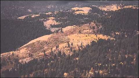 تلاوة بديعة ومميزة راحة نفسية