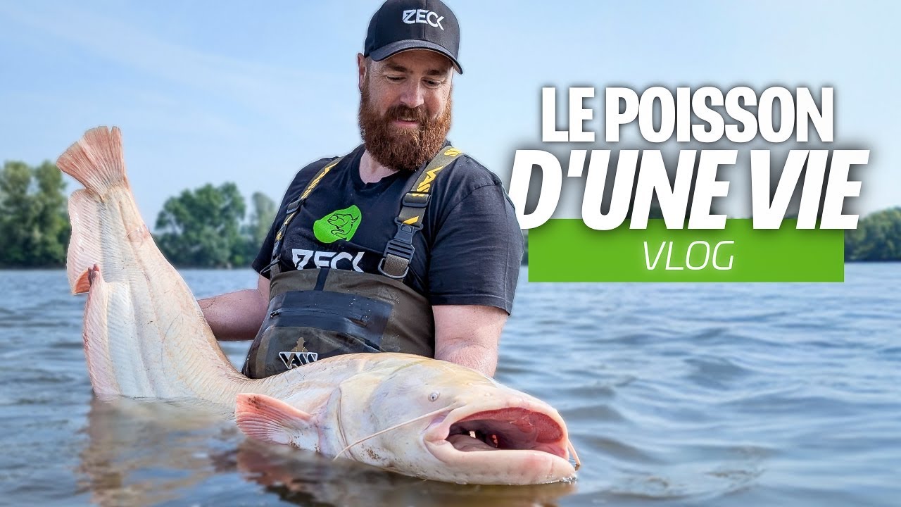 INCROYABLE, on pêche un SILURE ALBINOS ! le COMBAT le plus stressant de ma vie