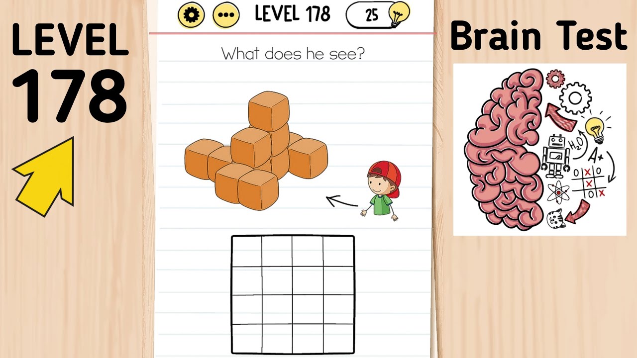 Brain test 178