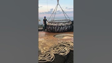 Amazing Commercial Fishing Trawl on top of Ship