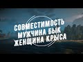 Совместимость мужчина Бык и женщина Крыса