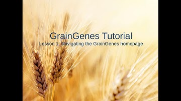 GrainGenes Tutorial 1:  Navigating the Homepage