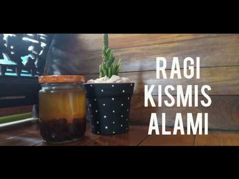 Video: Lempeng Ragi Dengan Kismis Merah