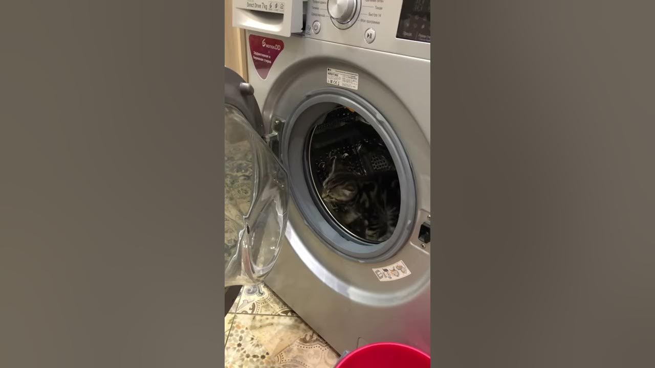 Крутите барабан 😂 - YouTube