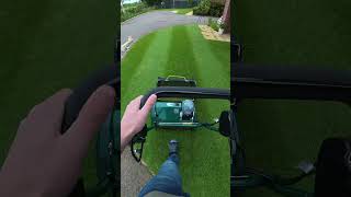 Verticutting the lawn to thin the sward 🌱 #lawn #lawncare