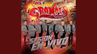 San Juan del Rio / Te Fuiste y Me Dejaste (Mezcla) (En Vivo)
