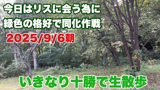 小野寺まさるチャンネルの配信のサムネイル画像