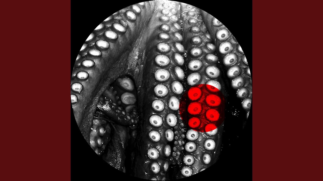 Mweapon auf YouTube ansehen Mweapon auf YouTube ansehen