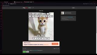 Cute Cat Meme   Imgflip