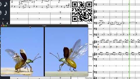 Dorico with BBC Symphony #Beetles