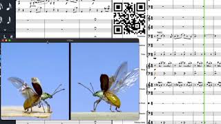 Dorico with BBC Symphony #Beetles