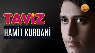 TAVİZ/ Hamit Kurbani Resimi