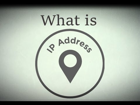 What does an IP address look like?