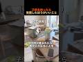 子供を持ったら覚悟したほうがいいこと