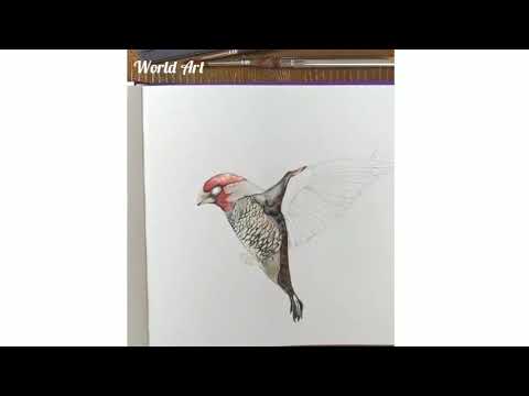 Watercolor painting Red Headed Finch Flying. Daily challenge #12 