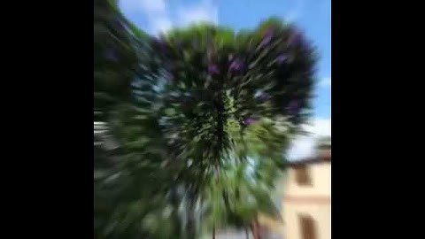 ssj campus almora ❤️