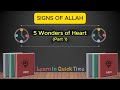 Signs of ALLAH | 5 Wonders of Our Heart (Part 1) | #allah #signs #facts #earth #wonders #science