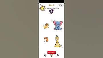 Brain Out Level 3 Who is the tallest one ? Game Play And Solutions