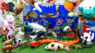 Catch Cute Animals, Rainbow Chicken, Rabbit, Turtle, Catfish, Crocodile, Big Snakes, Goldfish by Tony FiSH 18,251 views 1 month ago 8 minutes, 11 seconds