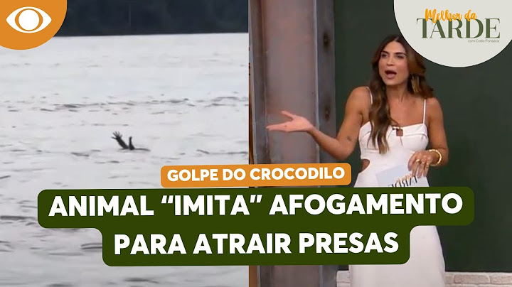GOLPE! Crocodilo malandro "imita" humano se afogando para atrair presas | Melhor da Tarde