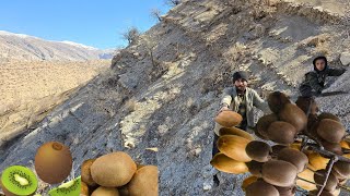 Wilde bergkiwi-oogst | Een spannende reis naar het hart van ongerepte natuur