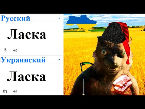 Бейне: Ирландша канадалық деген не?