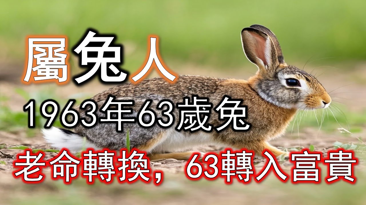 福星高照之年！1963年屬兔人將於今年12月前完成一次命格轉換，從此轉入富貴長線。#生肖兔#屬兔人#1963 兔
