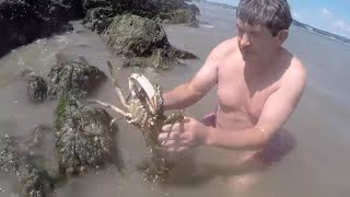 Highlights of the year  of ' Coastal Foraging with Craig Evans' by Coastal Foraging With Craig Evans 20,340 views 5 years ago 2 minutes, 40 seconds