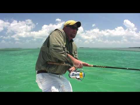Tarpon Fishing in Key West with Hogy Lures