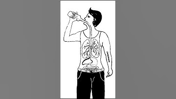 Stop drinking 🚫 And save your life #rifanaartandcraft #shortvideo #deepmeaningvideos #rifanaart