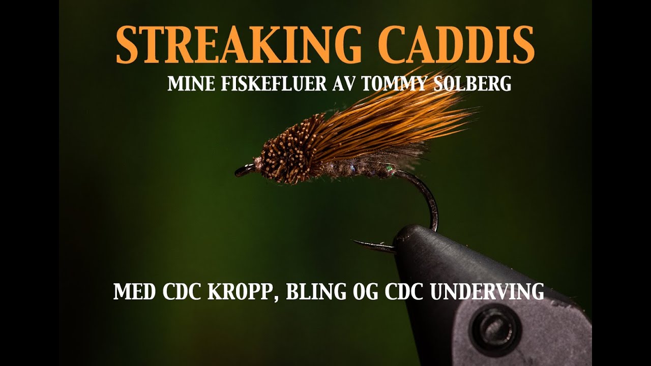 Tying the Streaking Caddis. Brown with cdc underwing and pearl ribbing