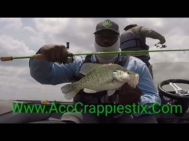 The Perfect Crappie Fishing Rod On A Tight Budget! 