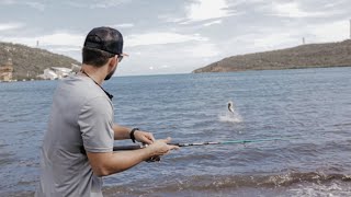 Pesca de RÓBALOS de ORILLA | como Pescar con Minnow Lures | Pesca luego de trabajar