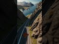 Whoosh! Orange Cat Flies Fast Along Mountain Road. Catch Him if You Can!