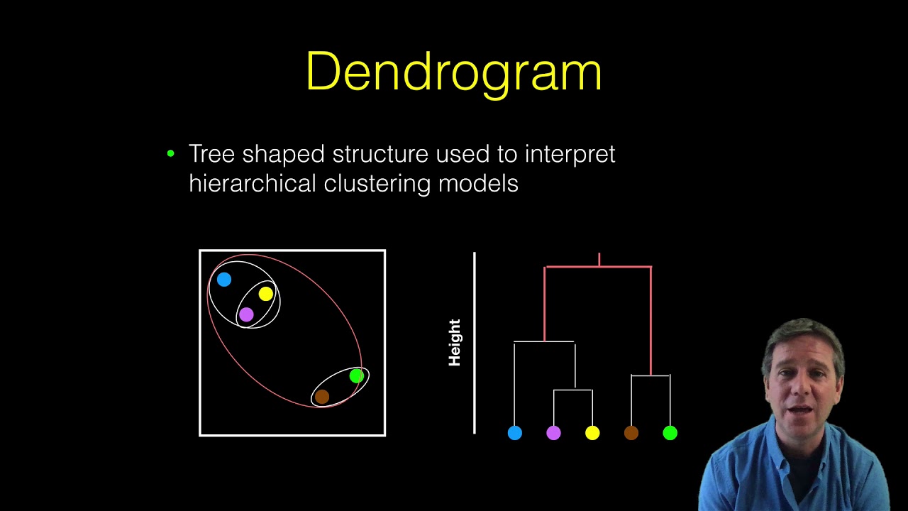 6.2 Hierarchical clustering - YouTube