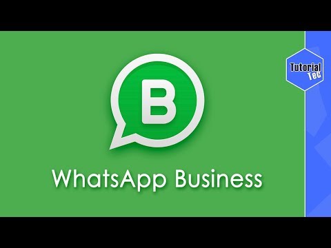 WhatsApp Business: Veja Como Funciona Todos os Recursos